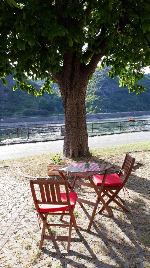 Pension / Ferienwohnungen Scheid Kestert Extérieur photo