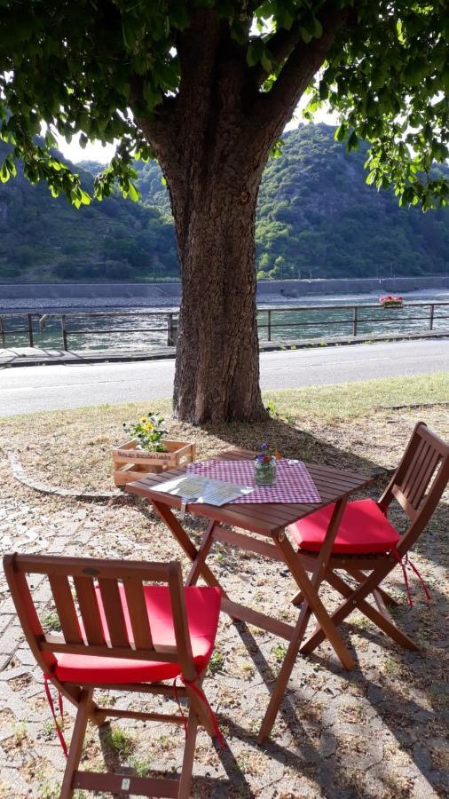 Pension / Ferienwohnungen Scheid Kestert Extérieur photo